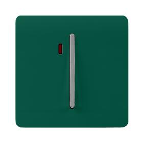 ART-WHS1DG  20 Amp Neon Insert Double Pole Switch Dark Green